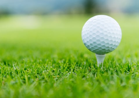 Close-up of a ball at the golf course