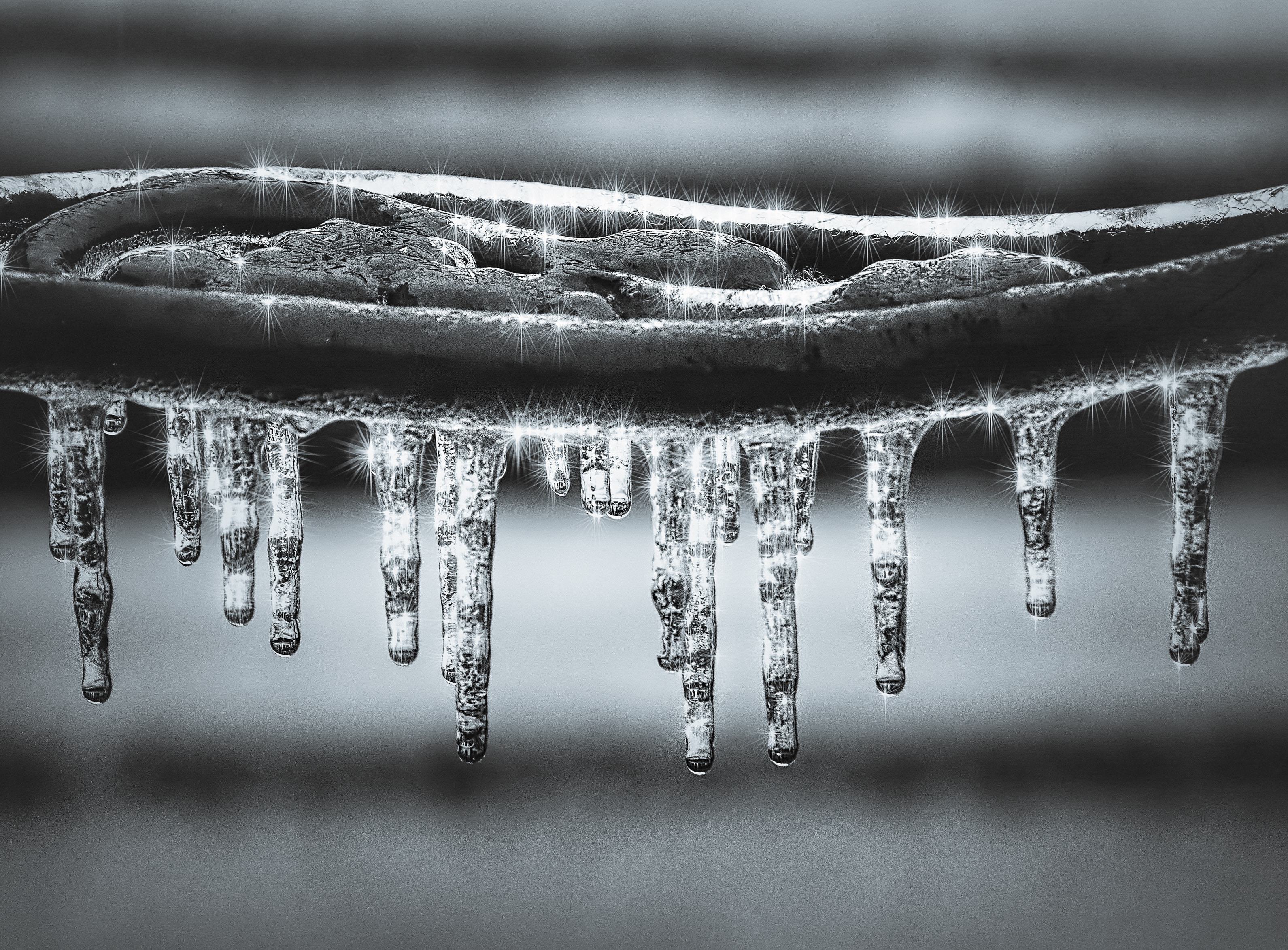 photo of icicles 